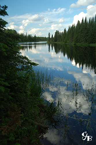 Photo: A trout lake in northern Minnesota. Photo by Chris J. Benson