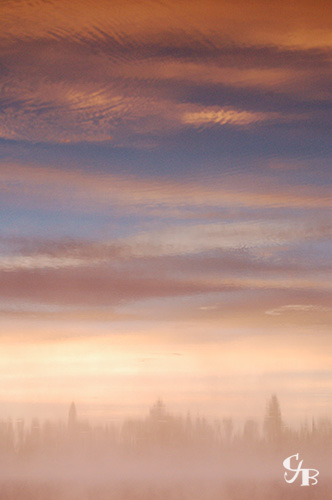 Photo: Reflections of sunrise, clouds, and trees on a lake in Minnesota. Photo by Chris J. Benson