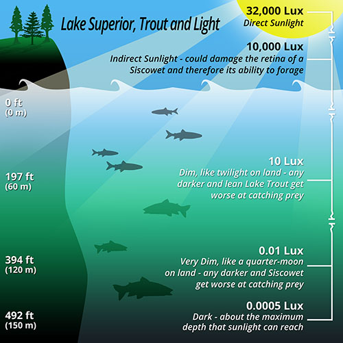 Science Poster Graphic